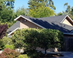 yellow house with shrubs