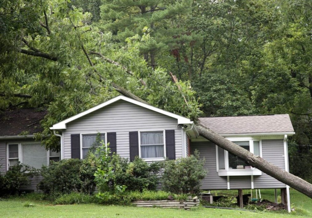 tree falling in roof stockton - emergency roof repair